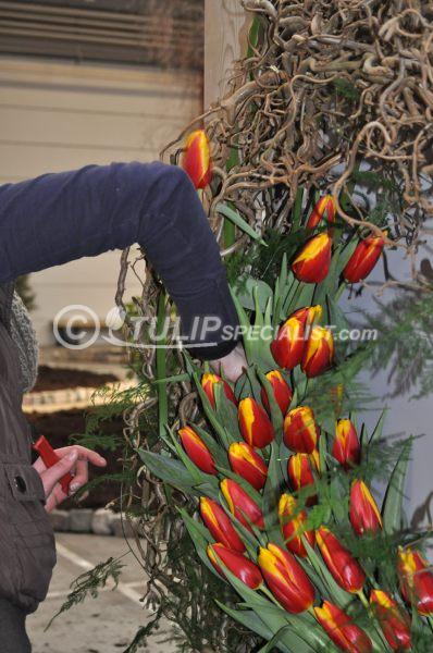 12-holland_food_and_flowers-flora-exhibition-tulips-tulpen (15).JPG