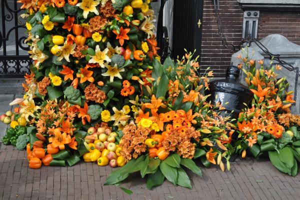 willem_maxima_hoorn_bloemen-bezoek_koning (5).JPG