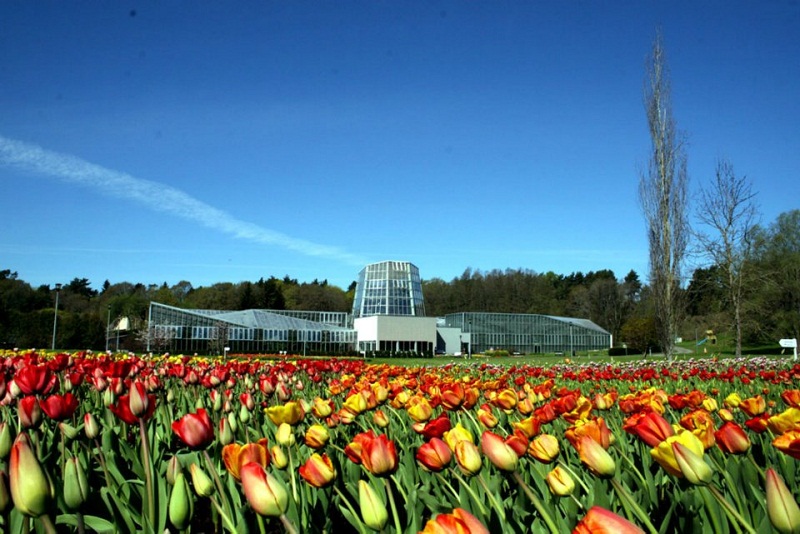 00_tulip-festival-park-city-tulips-flowers-gallery- (2).jpg