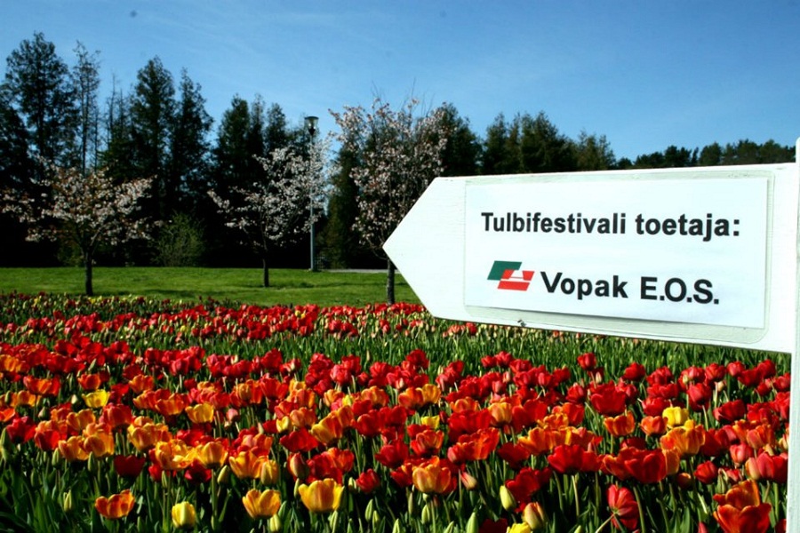 00_tulip-festival-park-city-tulips-flowers-gallery- (8).jpg